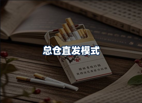 专业团队办公环境